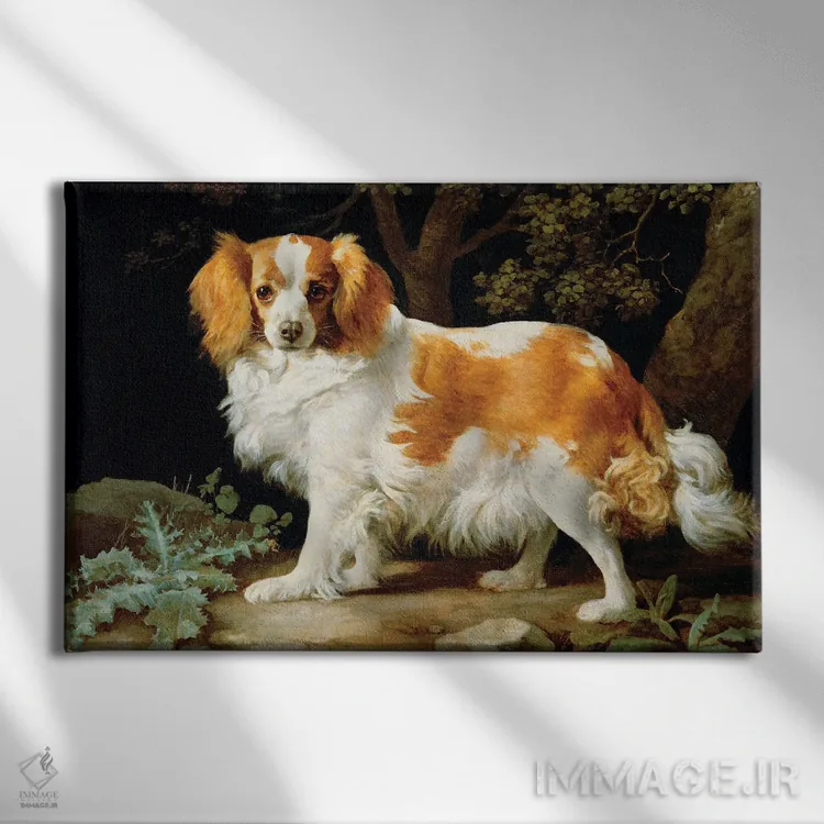 تابلو 1776,یک سگ اسپانیل کینگ چارلز قهوهای و سفید در منظرهای جنگلی، ۱۷۷۶ اثر جورج استابز (نقاش حیوانات انگلیسی) - نمای روبهرو روی دیوار