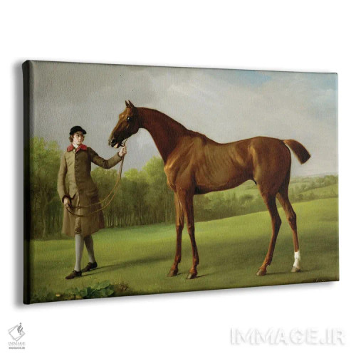 تابلو Held By A Groom, c.1762,"لاستر"، اسب در اختیار مربی، حدود ۱۷۶۲ اثر جورج استابز (نقاش حیوانات انگلیسی) - نمای پرسپکتیو محصول