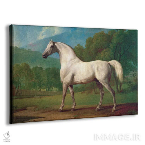 تابلو c.1790,مامبرینو، حدود ۱۷۹۰ اثر جورج استابز (نقاش حیوانات انگلیسی) - نمای پرسپکتیو محصول