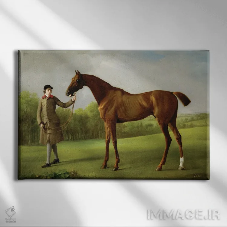 تابلو Held By A Groom, c.1762,"لاستر"، اسب در اختیار مربی، حدود ۱۷۶۲ اثر جورج استابز (نقاش حیوانات انگلیسی) - نمای روبهرو روی دیوار