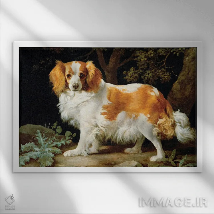 تابلو 1776,یک سگ اسپانیل کینگ چارلز قهوهای و سفید در منظرهای جنگلی، ۱۷۷۶ اثر جورج استابز (نقاش حیوانات انگلیسی) - نمای قابدار سفید