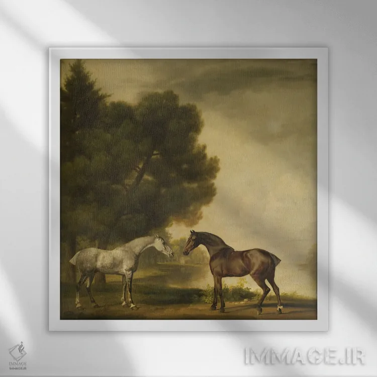 تابلو یک اسب خاکستری و یک اسب قهوهای در منظرهای طبیعی اثر جورج استابز (نقاش حیوانات انگلیسی) - نمای قابدار سفید