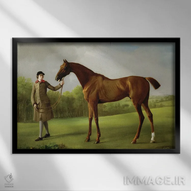 تابلو Held By A Groom, c.1762,"لاستر"، اسب در اختیار مربی، حدود ۱۷۶۲ اثر جورج استابز (نقاش حیوانات انگلیسی) - نمای قابدار مشکی