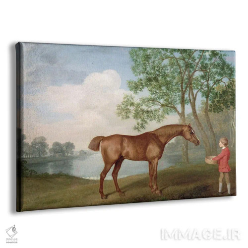 تابلو 1774,اسب "پامکین" با پسر اصطبل، ۱۷۷۴ اثر جورج استابز (نقاش حیوانات انگلیسی) - نمای پرسپکتیو محصول