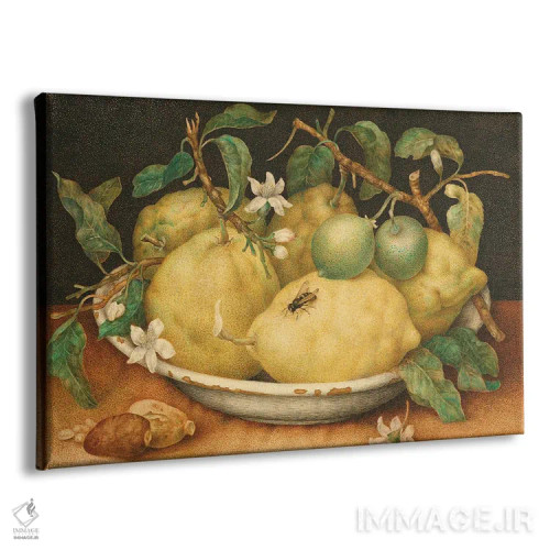 تابلو c.1640-49,طبیعت بیجان با کاسهای از بالنگ، حدود ۱۶۴۰-۴۹ اثر جیووانا گارتزونی (نقاش زن ایتالیایی باروک) - نمای پرسپکتیو محصول