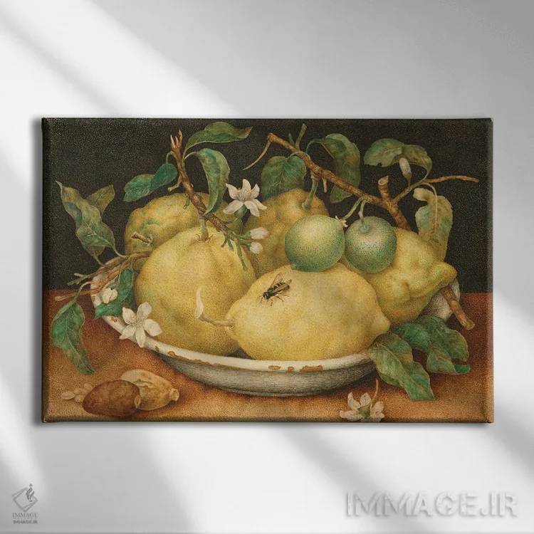 تابلو c.1640-49,طبیعت بیجان با کاسهای از بالنگ، حدود ۱۶۴۰-۴۹ اثر جیووانا گارتزونی (نقاش زن ایتالیایی باروک) - نمای روبهرو روی دیوار