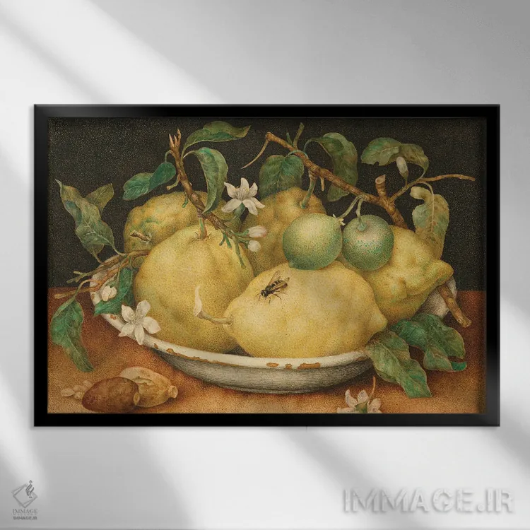 تابلو c.1640-49,طبیعت بیجان با کاسهای از بالنگ، حدود ۱۶۴۰-۴۹ اثر جیووانا گارتزونی (نقاش زن ایتالیایی باروک) - نمای قابدار مشکی