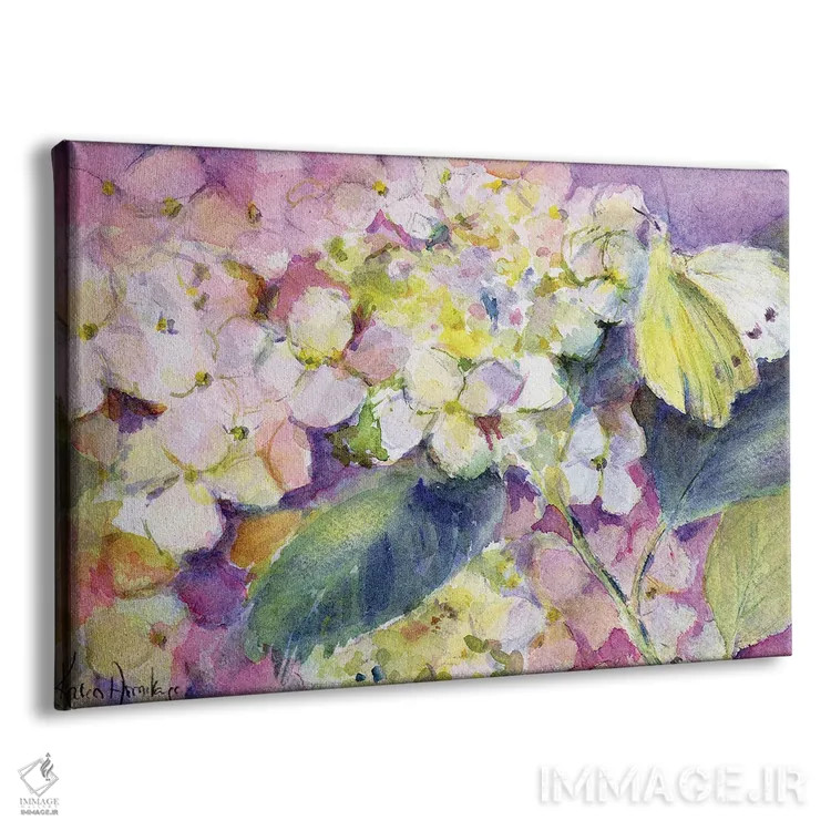 تابلو پروانه زرد کمرنگ (کولیاس هیاله) روی گل ادریسی اثر کارن آرمیتاژ - نمای پرسپکتیو محصول