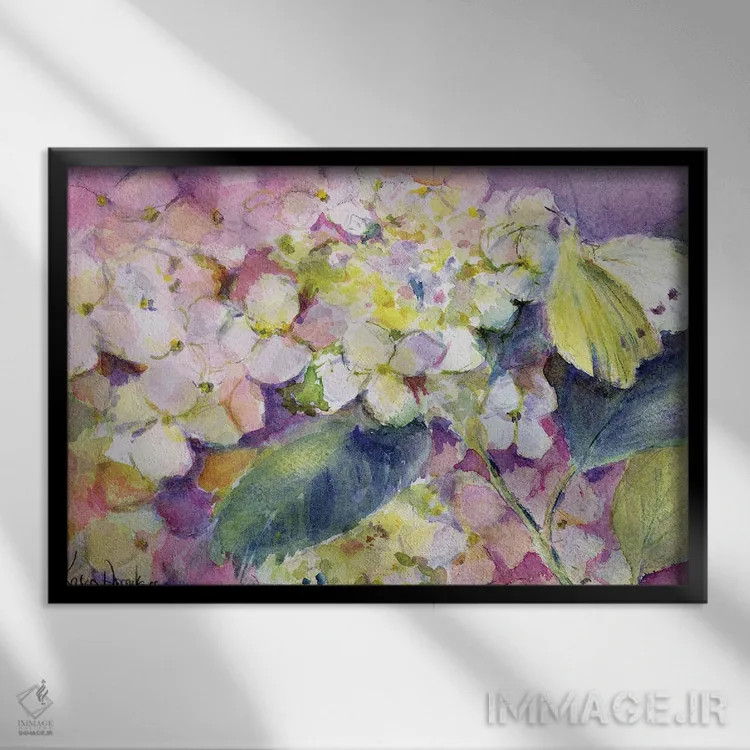 تابلو پروانه زرد کمرنگ (کولیاس هیاله) روی گل ادریسی اثر کارن آرمیتاژ - نمای قابدار مشکی