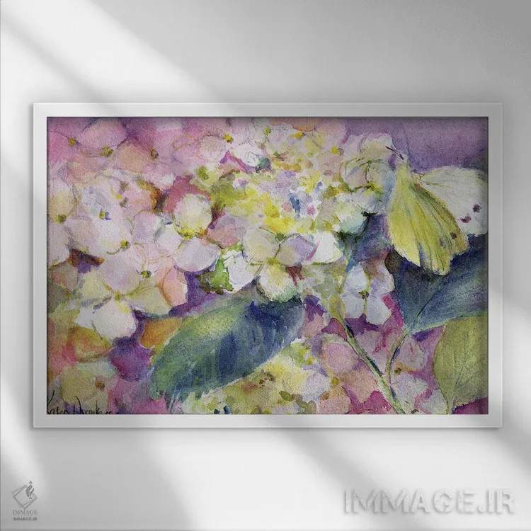 تابلو پروانه زرد کمرنگ (کولیاس هیاله) روی گل ادریسی اثر کارن آرمیتاژ - نمای قابدار سفید