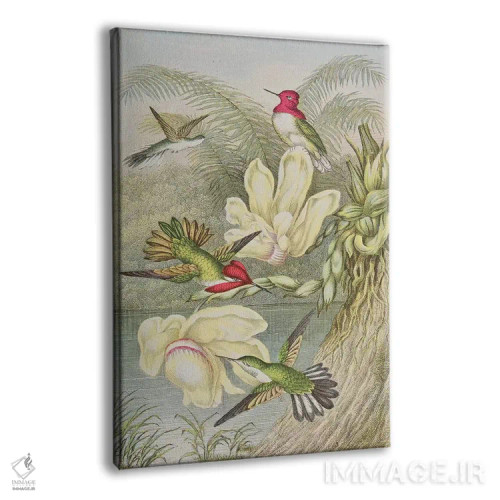تابلو مرغهای مگسخوار میان گلهای استوایی اثر مکتب انگلیسی (سبک یا جنبش هنری) - نمای پرسپکتیو محصول