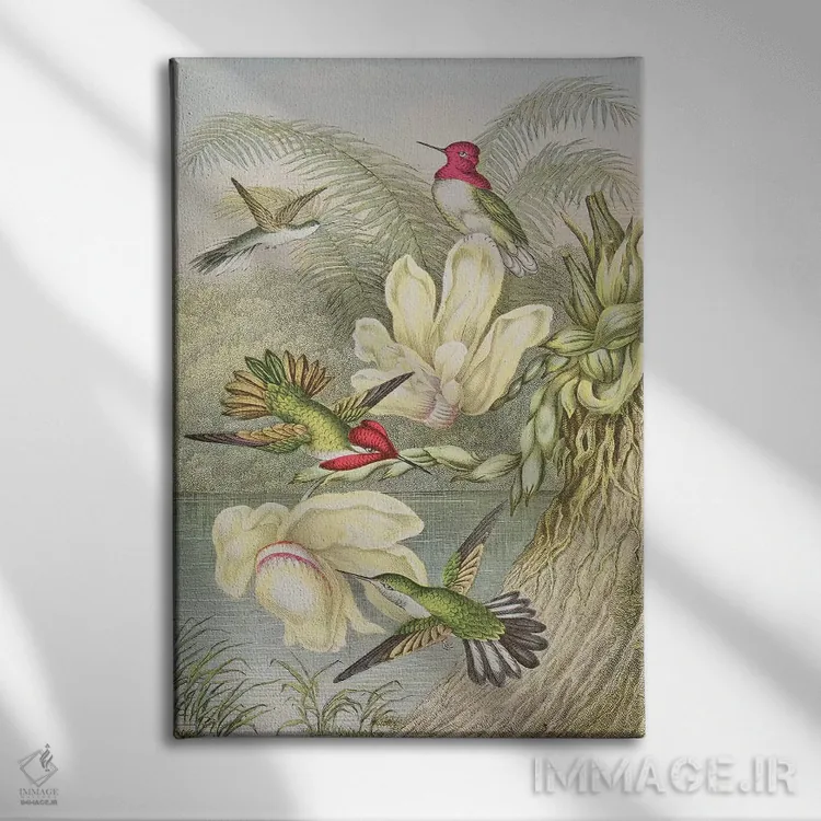 تابلو مرغهای مگسخوار میان گلهای استوایی اثر مکتب انگلیسی (سبک یا جنبش هنری) - نمای روبهرو روی دیوار