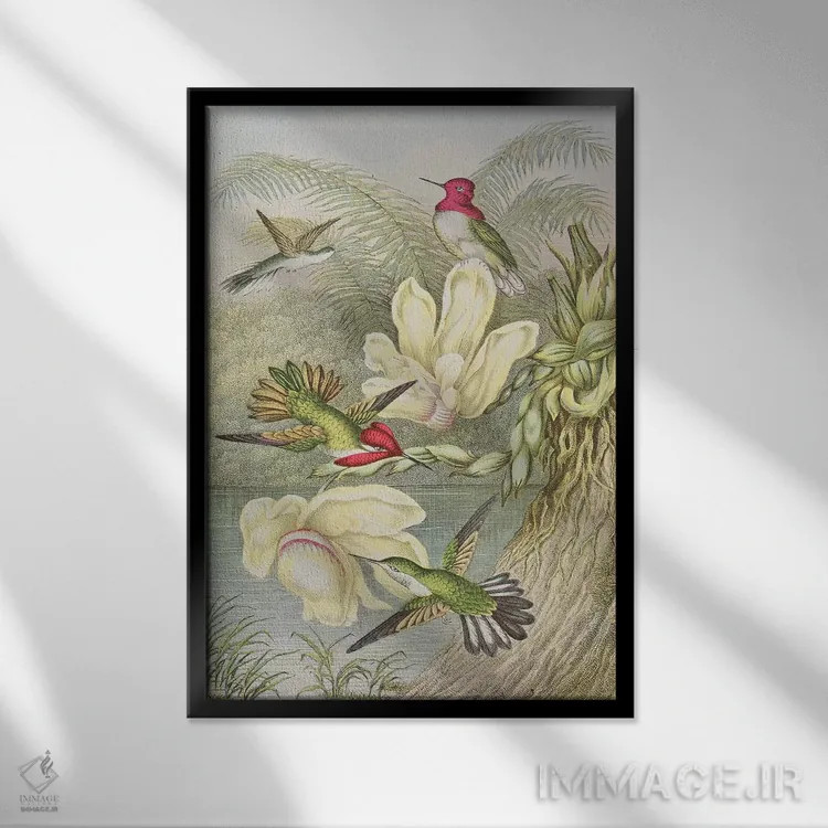 تابلو مرغهای مگسخوار میان گلهای استوایی اثر مکتب انگلیسی (سبک یا جنبش هنری) - نمای قابدار مشکی
