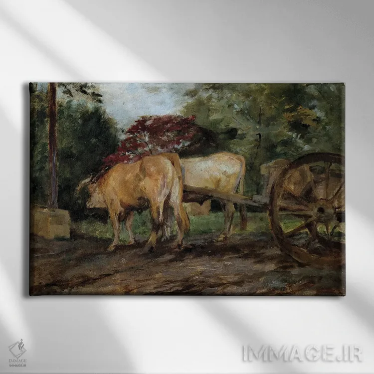 تابلو Musee Des Beaux Arts,گاوهای زیر یوغ، بوردو قرن نوزدهم، موزه هنرهای زیبا اثر آنری دو تولوز-لوترک - نمای روبهرو روی دیوار