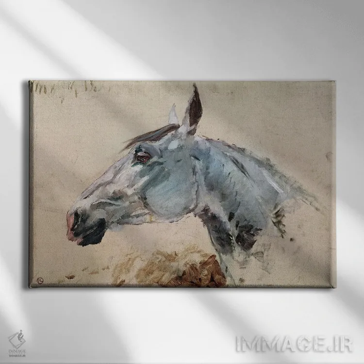تابلو اسب سفید "گازل"، ۱۸۸۱ اثر آنری دو تولوز-لوترک - نمای روبهرو روی دیوار