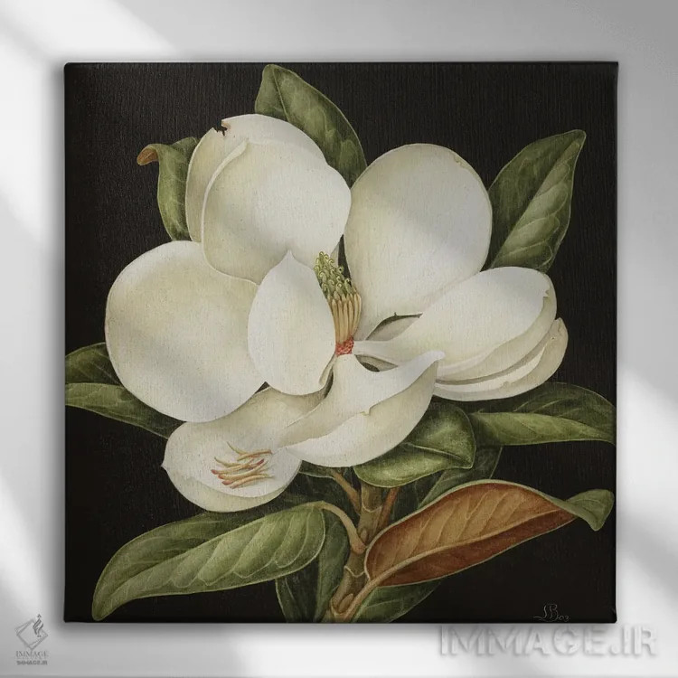 تابلو ماگنولیا گراندیفلورا (نوعی گل مگنولیا)، ۲۰۰۳ اثر جنی بارون - نمای روبهرو روی دیوار