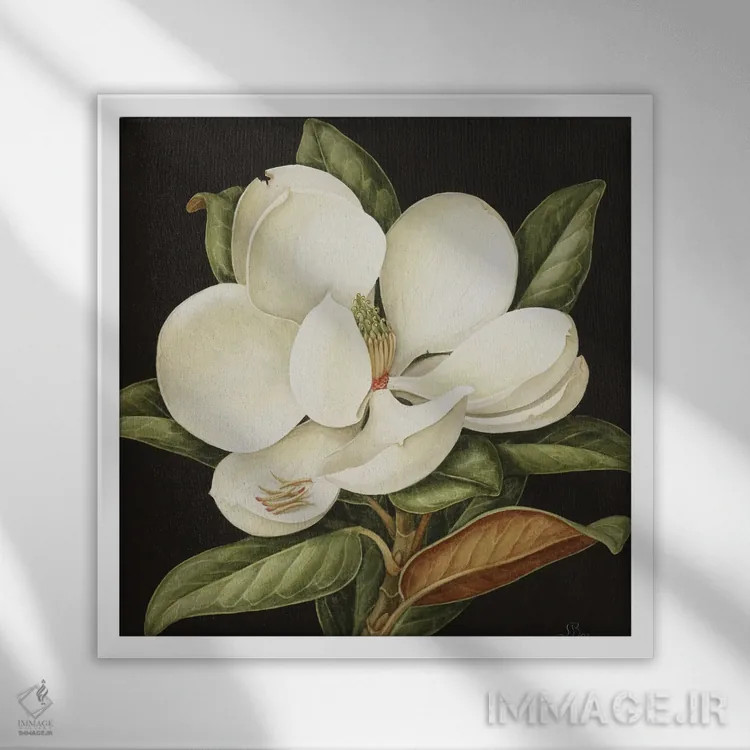 تابلو ماگنولیا گراندیفلورا (نوعی گل مگنولیا)، ۲۰۰۳ اثر جنی بارون - نمای قابدار سفید