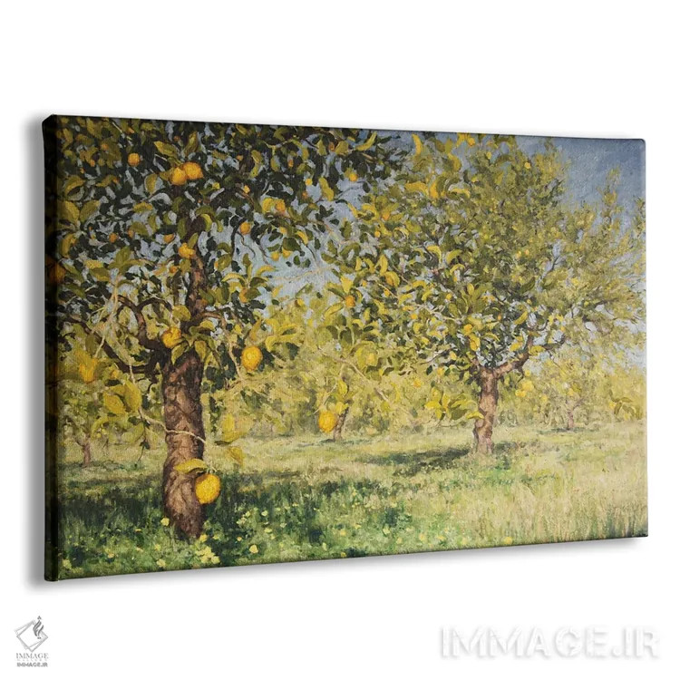 تابلو 2013,ناممکنی یک درخت لیمو، ۲۰۱۳ اثر انگوس همپل - نمای پرسپکتیو محصول