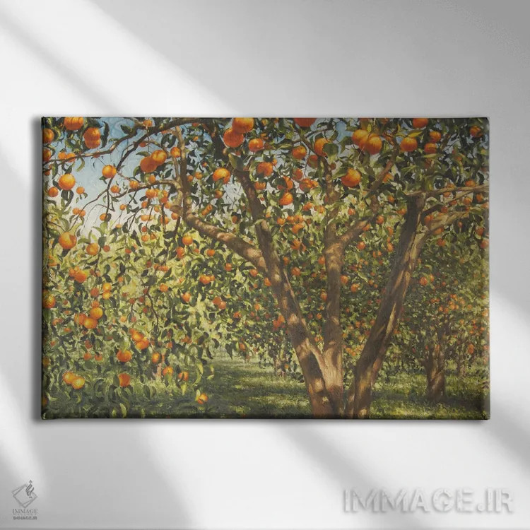 تابلو 2012,سکوت زیر درختان پرتقال ۱، ۲۰۱۲ اثر انگوس همپل - نمای روبهرو روی دیوار