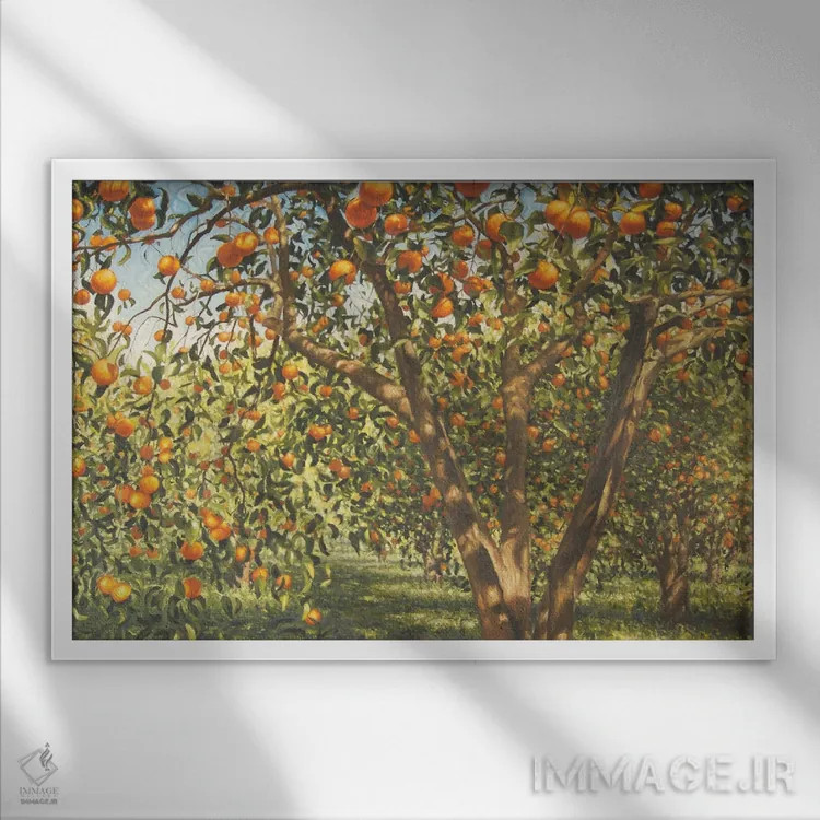 تابلو 2012,سکوت زیر درختان پرتقال ۱، ۲۰۱۲ اثر انگوس همپل - نمای قابدار سفید