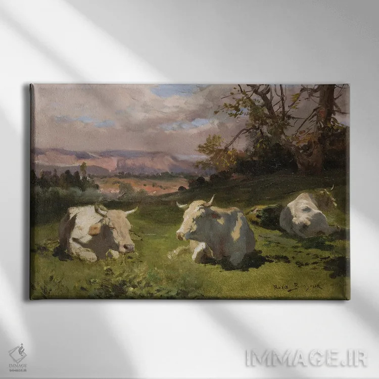 تابلو گاو بلوند دآکیتن در حال استراحت اثر روزا بونوور (نقاش فرانسوی) - نمای روبهرو روی دیوار