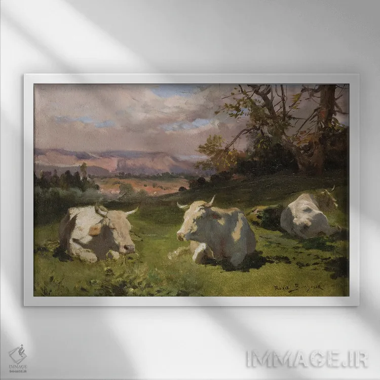 تابلو گاو بلوند دآکیتن در حال استراحت اثر روزا بونوور (نقاش فرانسوی) - نمای قابدار سفید