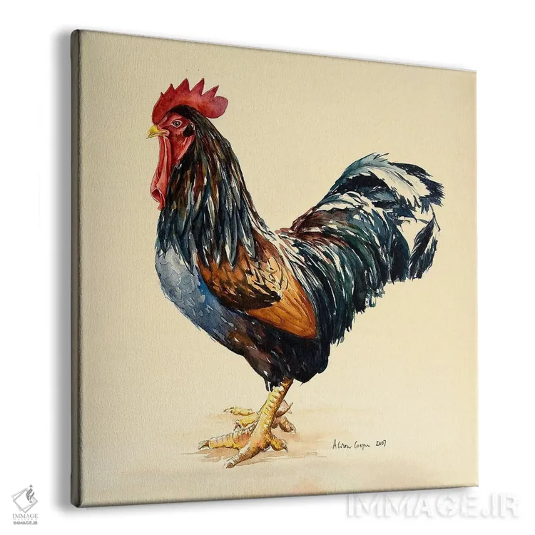 تابلو خروس جورج، ۲۰۰۷ اثر آلیسون کوپر - نمای پرسپکتیو محصول