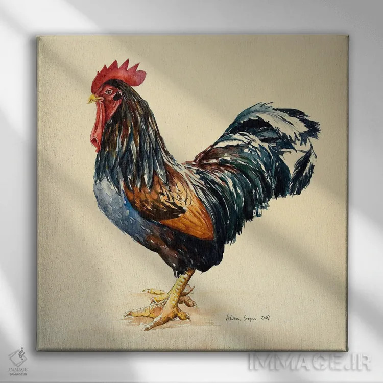 تابلو خروس جورج، ۲۰۰۷ اثر آلیسون کوپر - نمای روبهرو روی دیوار