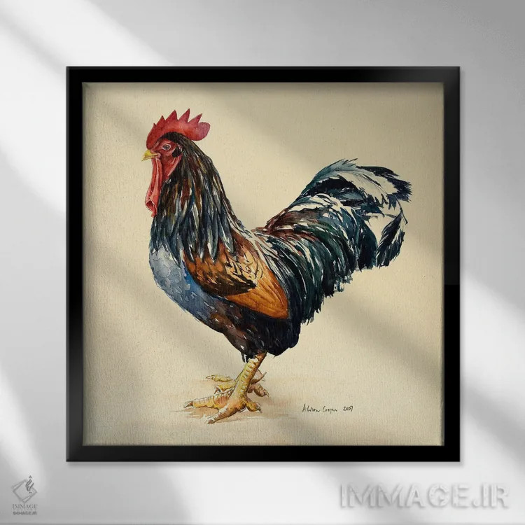 تابلو خروس جورج، ۲۰۰۷ اثر آلیسون کوپر - نمای قابدار مشکی