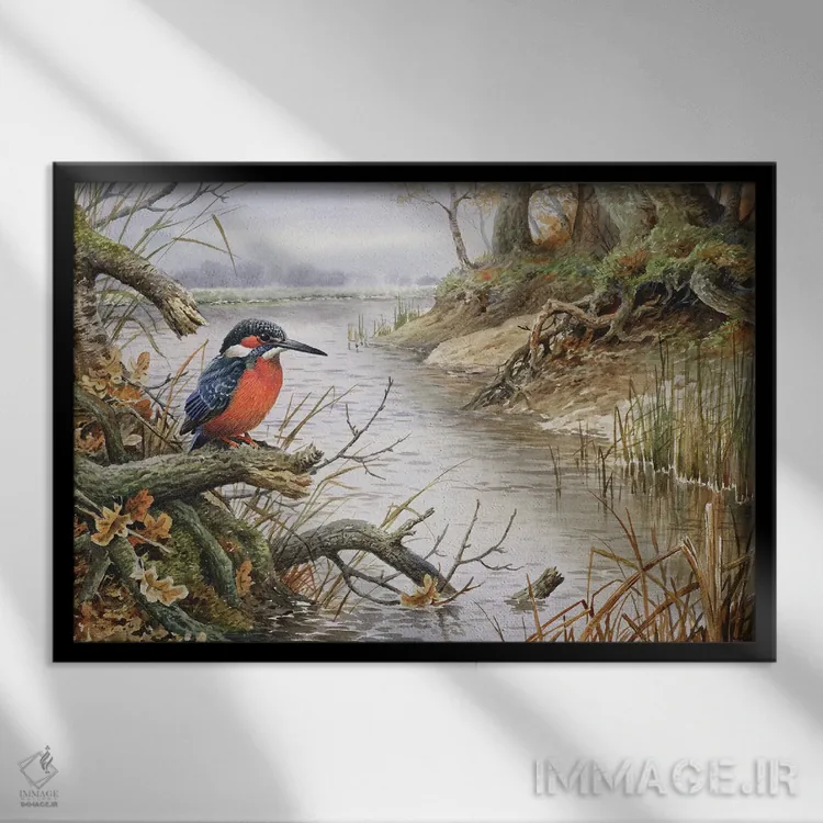 تابلو ماهیخوار (مرغ ماهیخوار) یک اثر کارل دونر - نمای قابدار مشکی