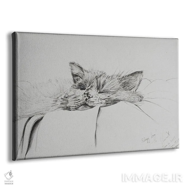 تابلو مانتی، پسر خوابآلود، ۲۰۱۳ اثر وینسنت الکساندر بوت - نمای پرسپکتیو محصول