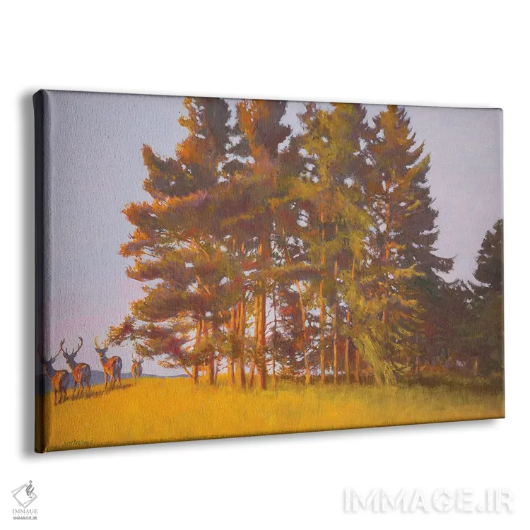 تابلو منظره از کابین اثر ویلیام ایرلند - نمای پرسپکتیو محصول