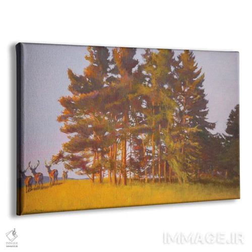 تابلو منظره از کابین اثر ویلیام ایرلند - نمای پرسپکتیو محصول