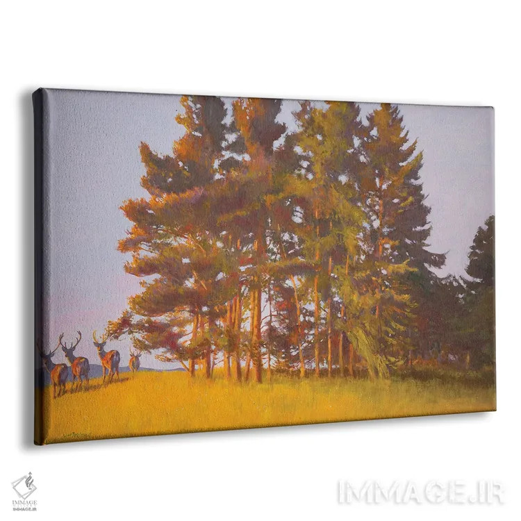 تابلو منظره از کابین اثر ویلیام ایرلند - نمای پرسپکتیو محصول