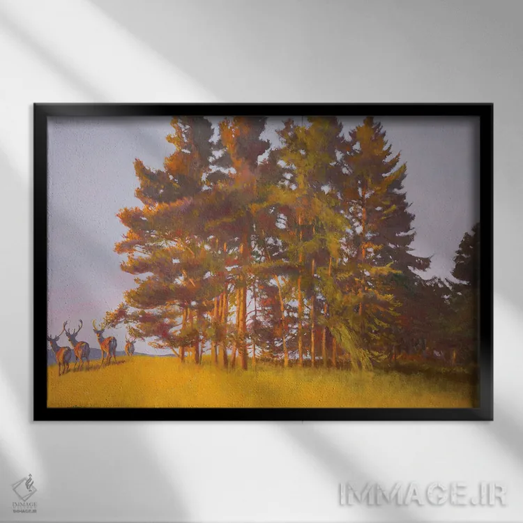 تابلو منظره از کابین اثر ویلیام ایرلند - نمای قابدار مشکی