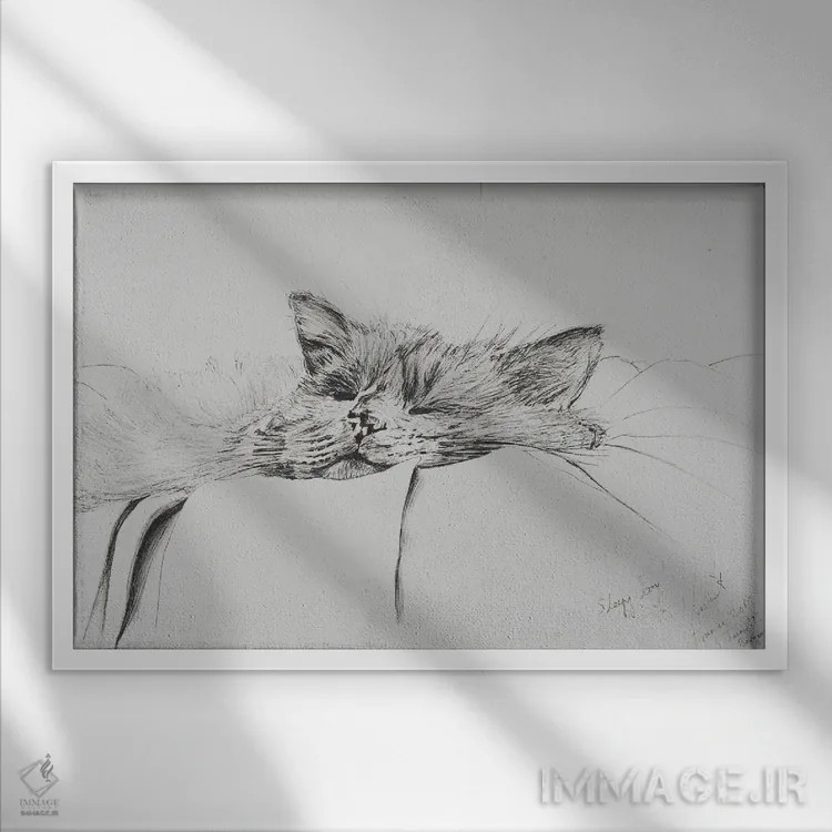 تابلو مانتی، پسر خوابآلود، ۲۰۱۳ اثر وینسنت الکساندر بوت - نمای قابدار سفید