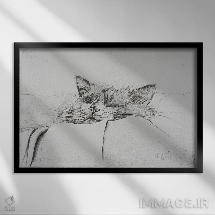 تابلو مانتی، پسر خوابآلود، ۲۰۱۳ اثر وینسنت الکساندر بوت - نمای قابدار مشکی