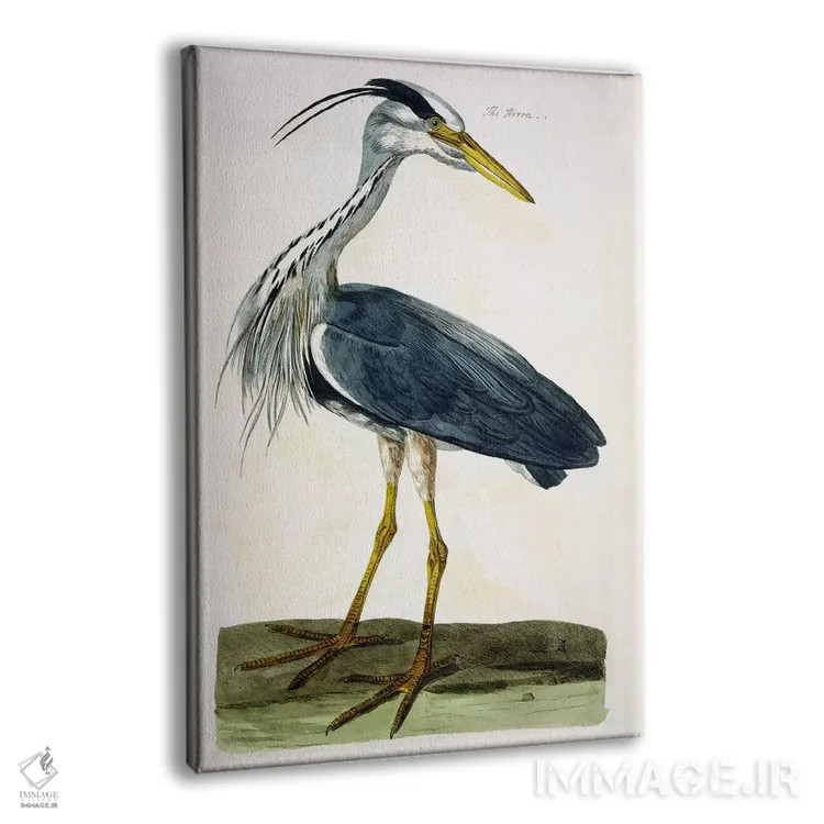 تابلو حواصیل اثر پیتر پایو - نمای پرسپکتیو محصول