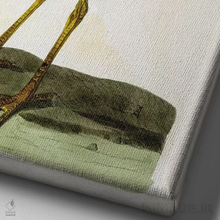 تابلو حواصیل اثر پیتر پایو - نمای نزدیک بافت بوم