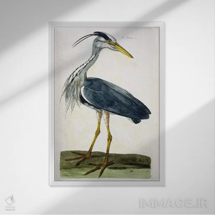 تابلو حواصیل اثر پیتر پایو - نمای قابدار سفید