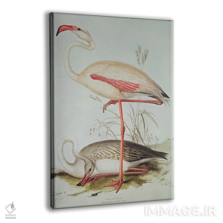 تابلو فلامینگو اثر ادوارد لیر (شاعر و تصویرگر انگلیسی) - نمای پرسپکتیو محصول