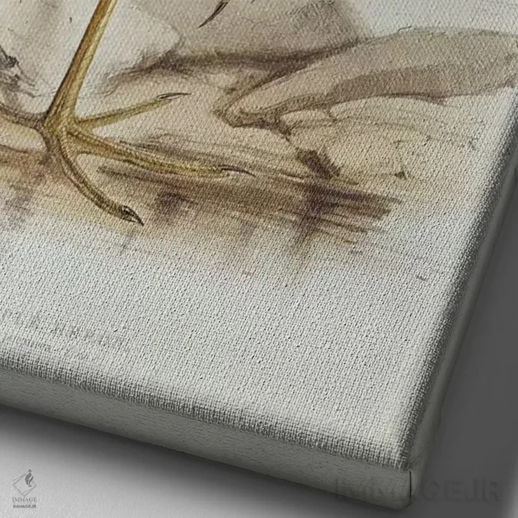 تابلو حواصیل بنفش اثر ادوارد لیر (شاعر و تصویرگر انگلیسی) - نمای نزدیک بافت بوم