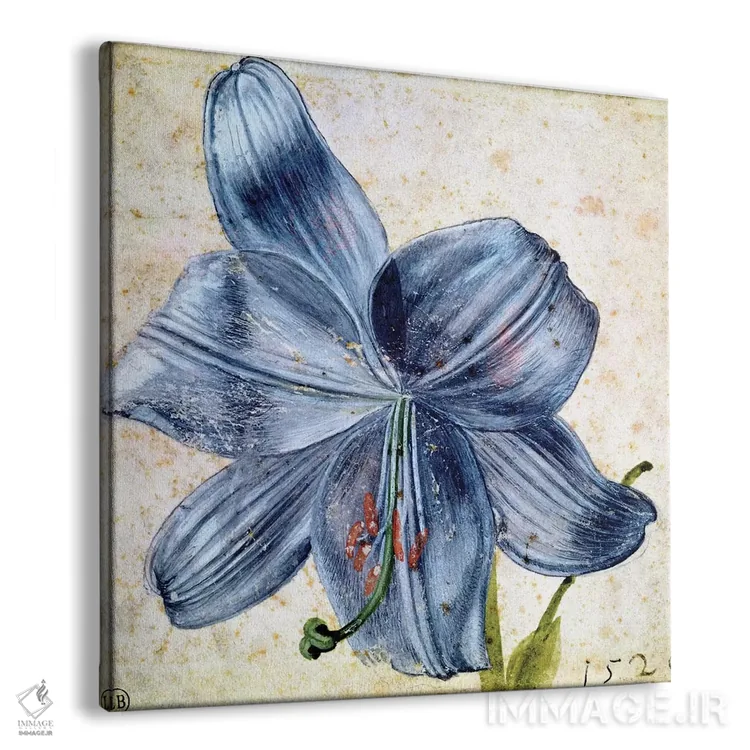 تابلو مطالعهای بر روی زنبق، ۱۵۲۶ اثر آلبریشت دورر (نقاش آلمانی) - نمای پرسپکتیو محصول