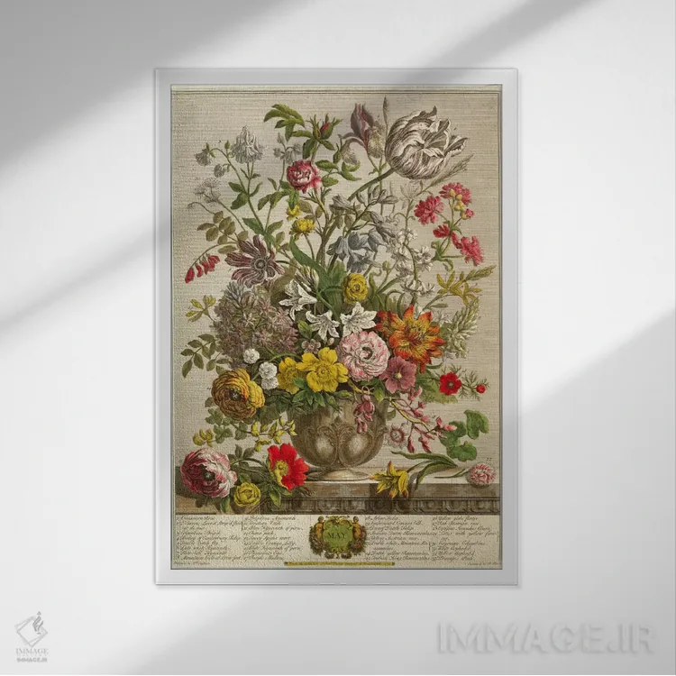 تابلو مه (از مجموعه "دوازده ماه گلها" اثر رابرت فربر) اثر پییتر کاستیلز - نمای قابدار سفید