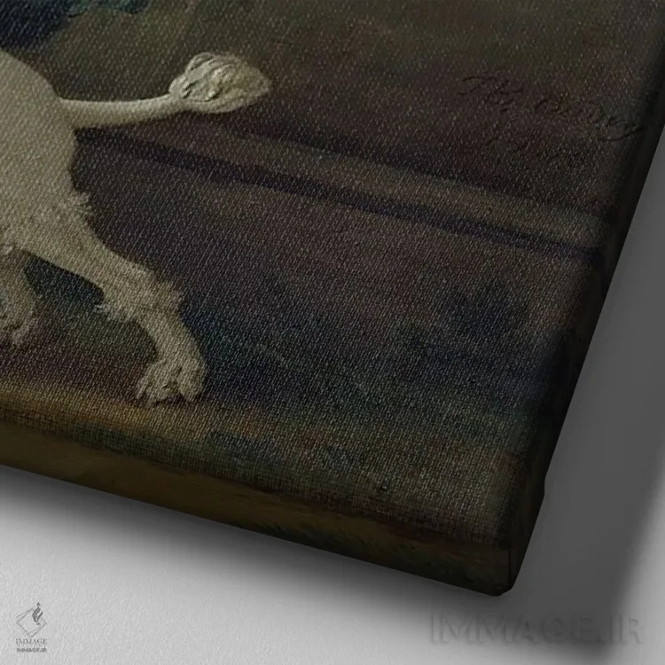 تابلو ززا، سگ، حدود ۱۷۳۰ اثر ژان باتیست اودری - نمای نزدیک بافت بوم