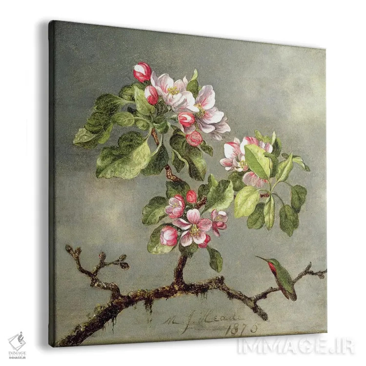 تابلو 1875,شکوفههای سیب و مرغ مگسخوار، ۱۸۷۵ اثر مارتین جانسون هید (نقاش طبیعتگرای آمریکایی) - نمای پرسپکتیو محصول