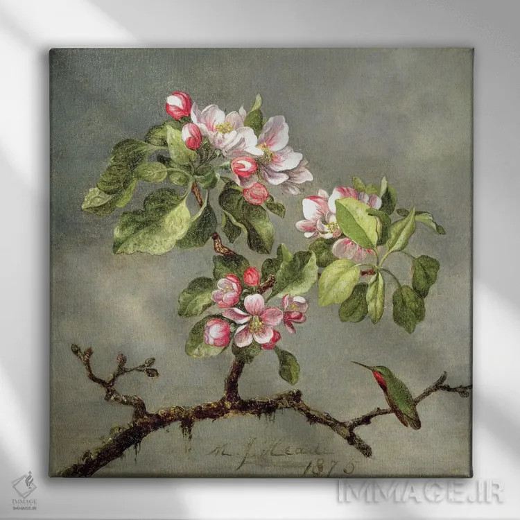 تابلو 1875,شکوفههای سیب و مرغ مگسخوار، ۱۸۷۵ اثر مارتین جانسون هید (نقاش طبیعتگرای آمریکایی) - نمای روبهرو روی دیوار