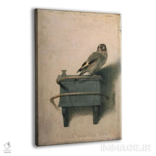 تابلو فنچ طلایی، ۱۶۵۴ اثر کارل فابریتیوس (نقاش هلندی) - نمای پرسپکتیو محصول