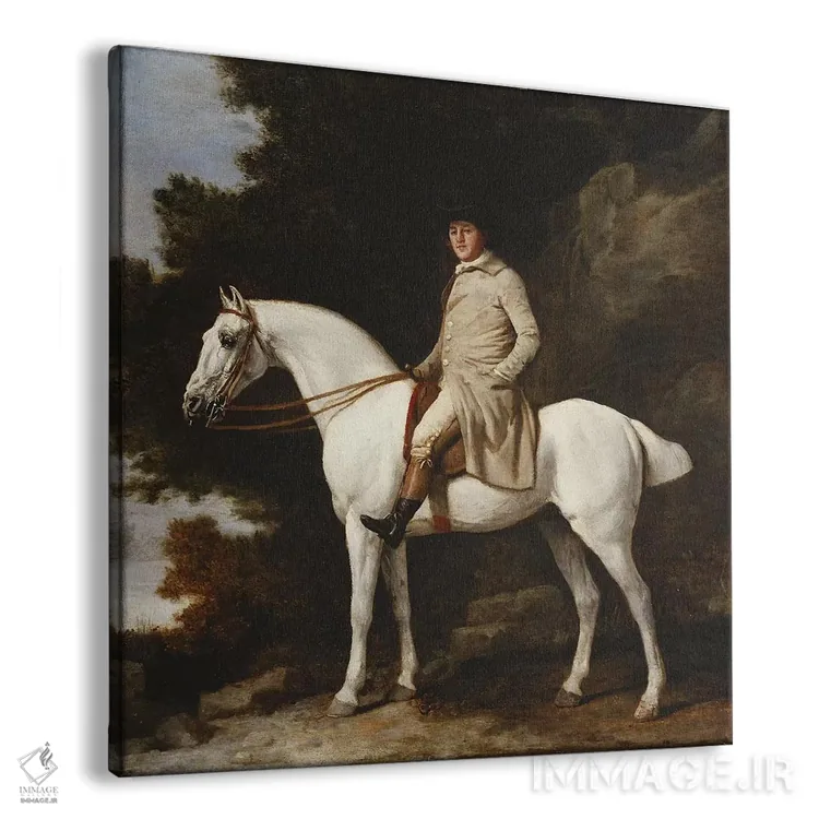 تابلو نجیبی بر اسب خاکستری در منظرهای صخرهای و جنگلی، ۱۷۸۱ اثر جورج استابز (نقاش حیوانات انگلیسی) - نمای پرسپکتیو محصول