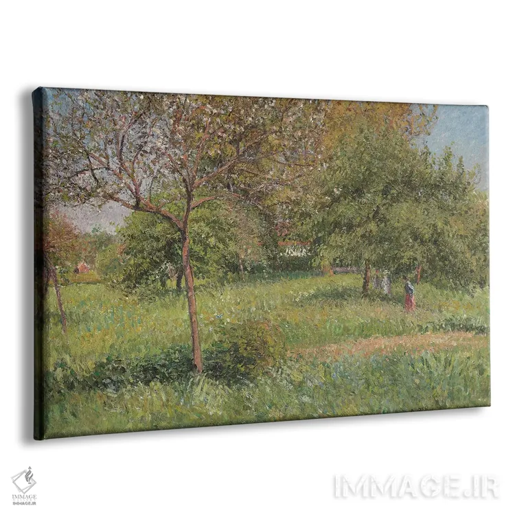 تابلو درخت بزرگ گردو، صبح، اراگنی، ۱۹۰۱ اثر کامی یِل پیسارو (نقاش فرانسوی امپرسیونیست) - نمای پرسپکتیو محصول